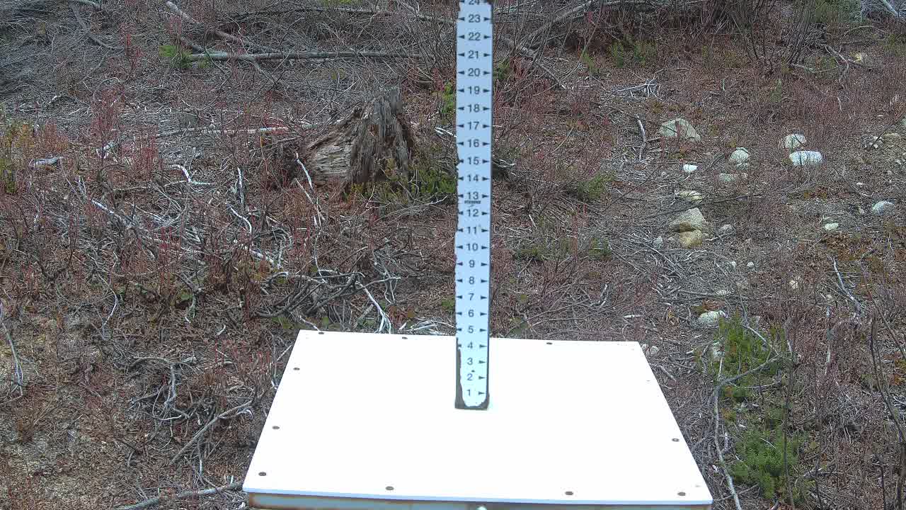 Snow Stake