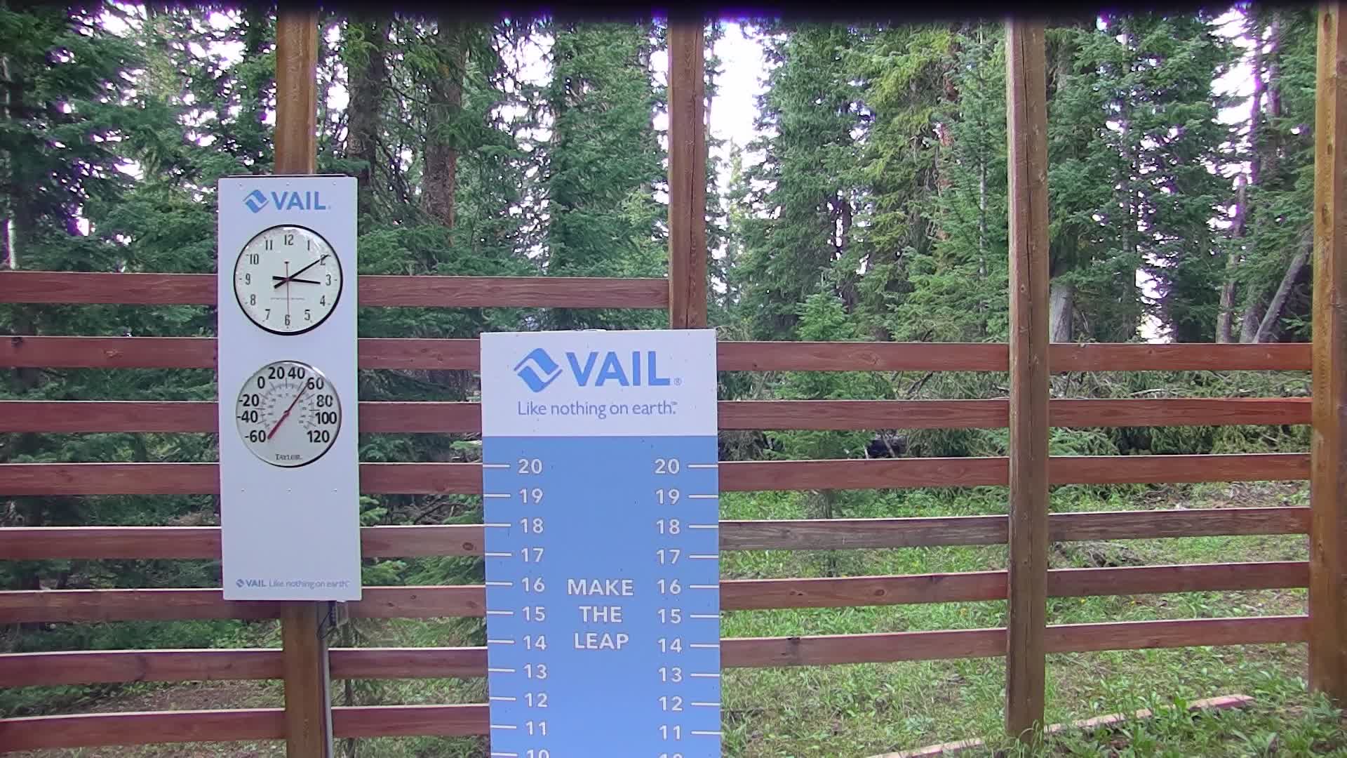 Vail — Blue Sky Basin webcam